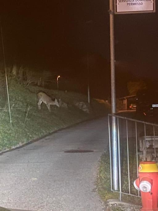 Appartamento La Perla Di Bre' Lugano Esterno foto